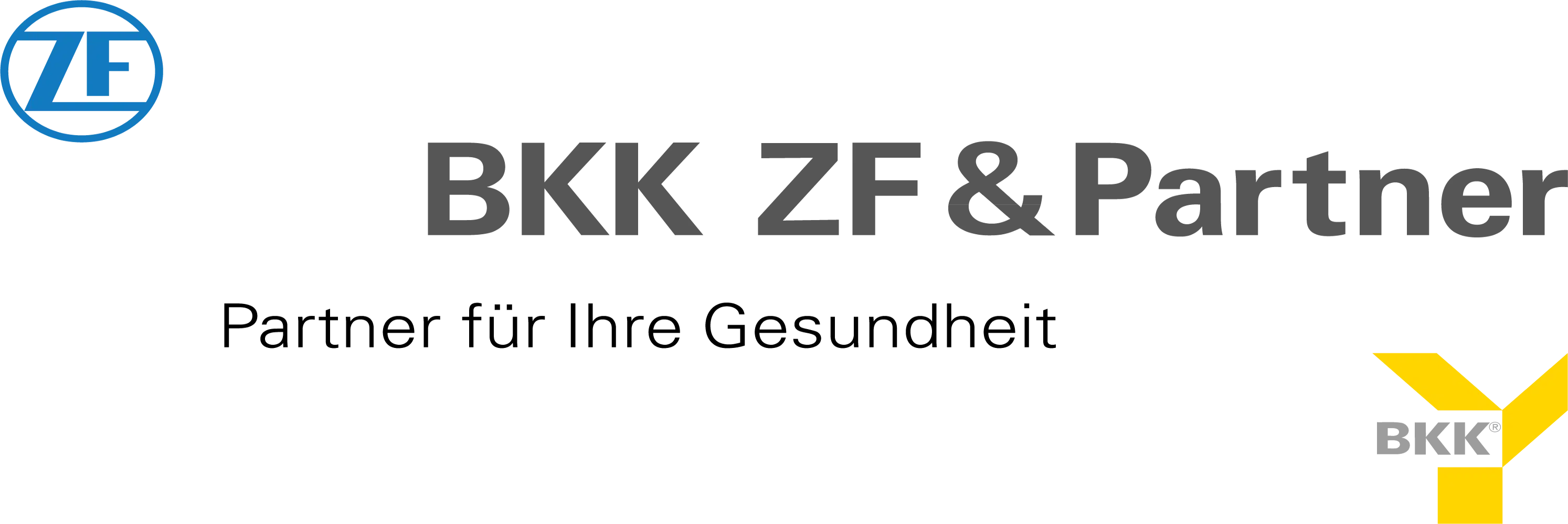 BKK ZF & Partner